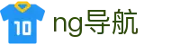 ng导航